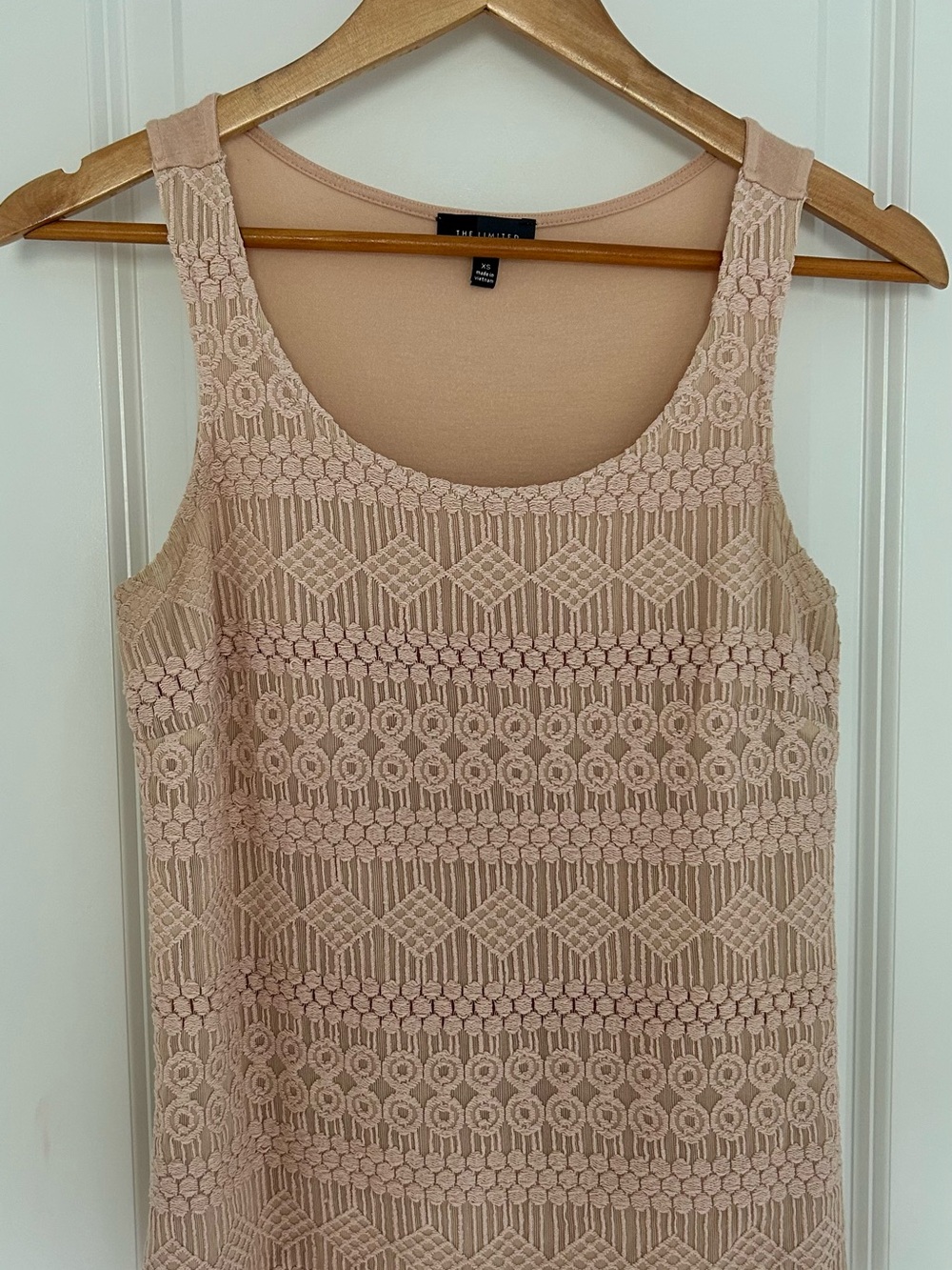 The Limited Blush Lace-Overlay Tank